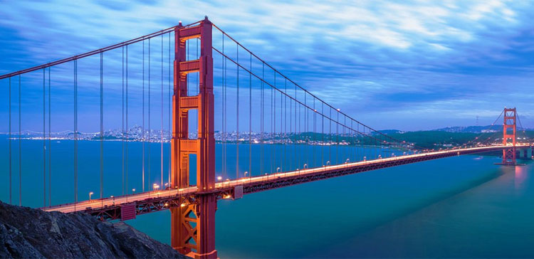 您的选择是我们努力的动力